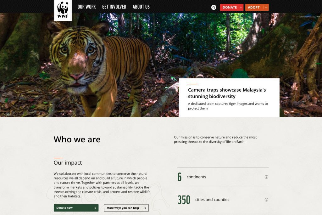 WWF website case study